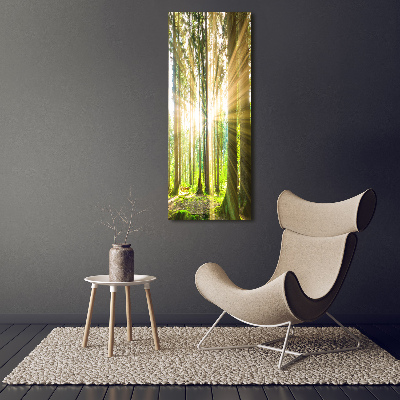 Bild auf Acrylglas vertikal Die Sonne im Wald