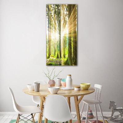 Bild auf Acrylglas vertikal Die Sonne im Wald