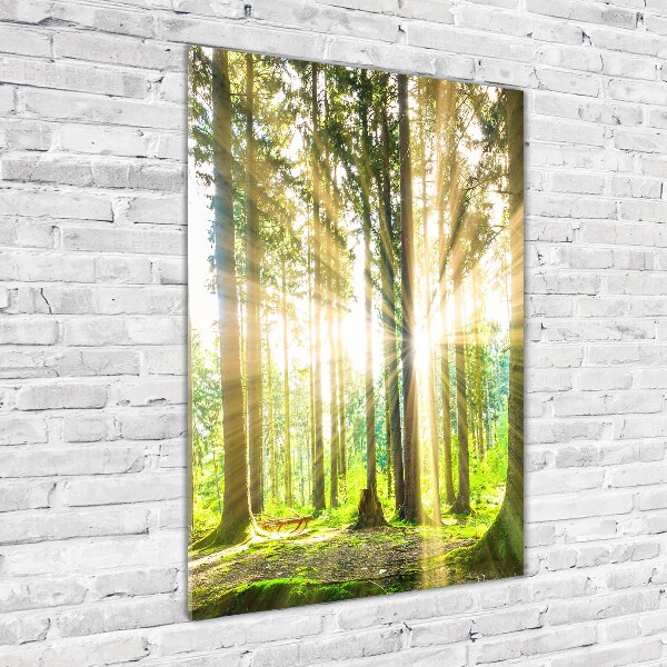 Bild auf Acrylglas vertikal Die Sonne im Wald