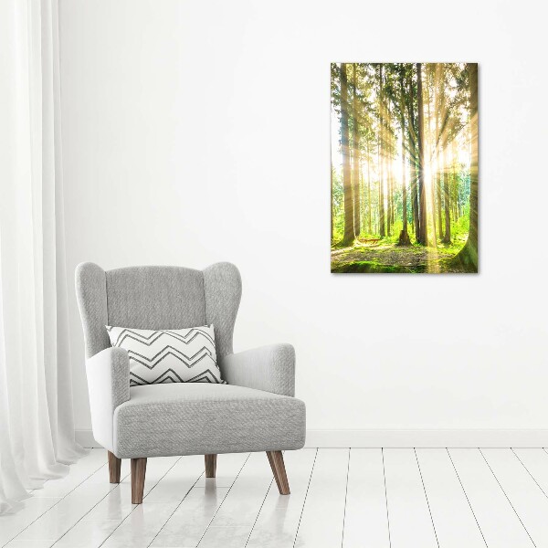 Bild auf Acrylglas vertikal Die Sonne im Wald