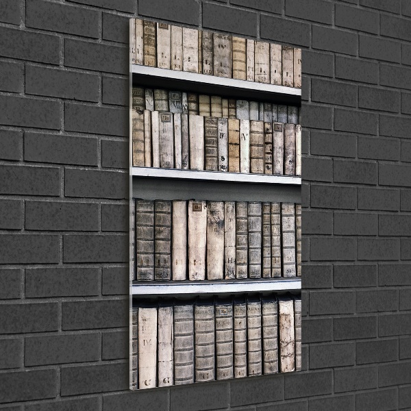 Plexiglasbilder vertikal Bücherregal