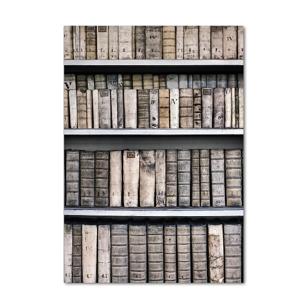 Plexiglasbilder vertikal Bücherregal