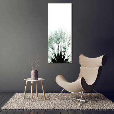 Bild auf Acrylglas vertikal Löwenzahnsamen