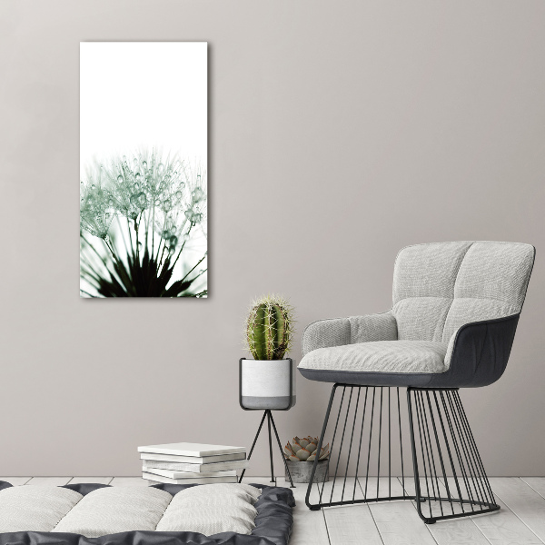 Bild auf Acrylglas vertikal Löwenzahnsamen