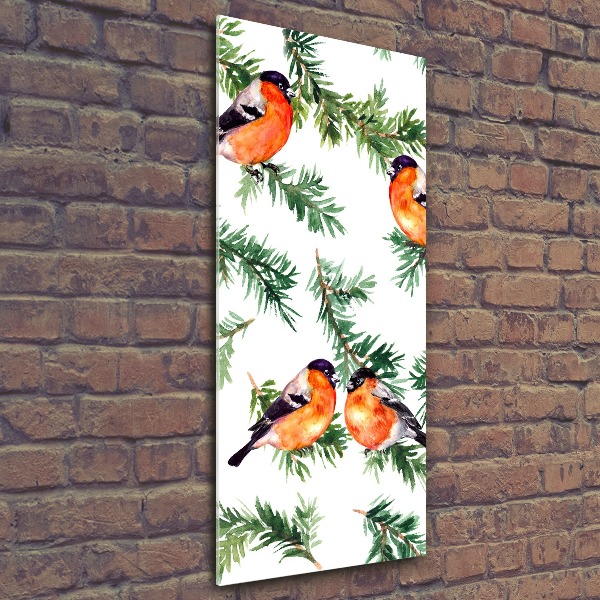 Bild auf Acrylglas vertikal Rotkehlchen und Nadelbäume