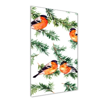 Bild auf Acrylglas vertikal Rotkehlchen und Nadelbäume