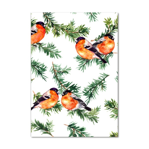 Bild auf Acrylglas vertikal Rotkehlchen und Nadelbäume