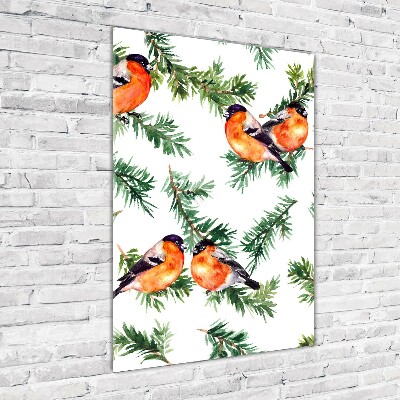 Bild auf Acrylglas vertikal Rotkehlchen und Nadelbäume