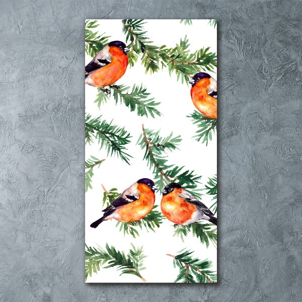 Bild auf Acrylglas vertikal Rotkehlchen und Nadelbäume