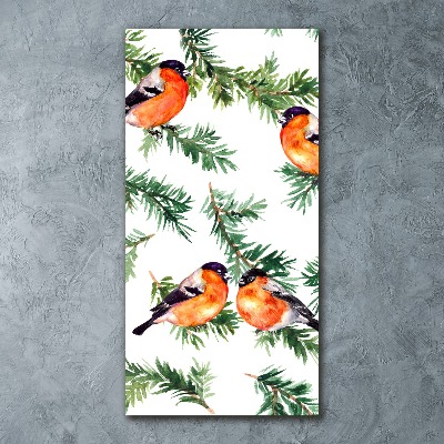 Bild auf Acrylglas vertikal Rotkehlchen und Nadelbäume