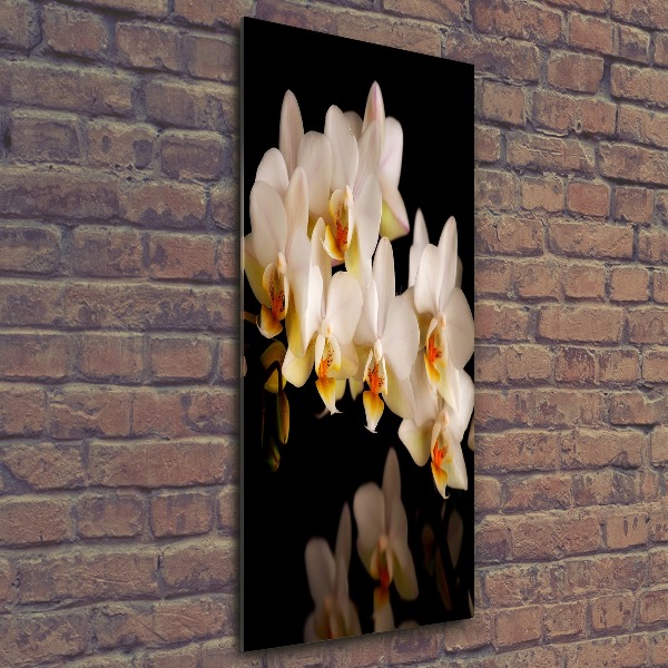 Bild auf Acrylglas vertikal Orchidee