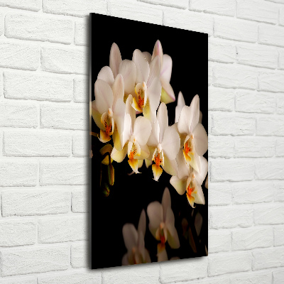 Bild auf Acrylglas vertikal Orchidee