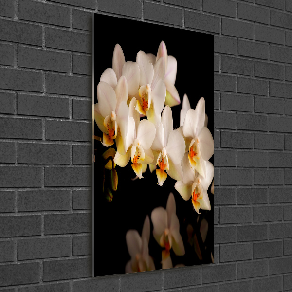 Bild auf Acrylglas vertikal Orchidee