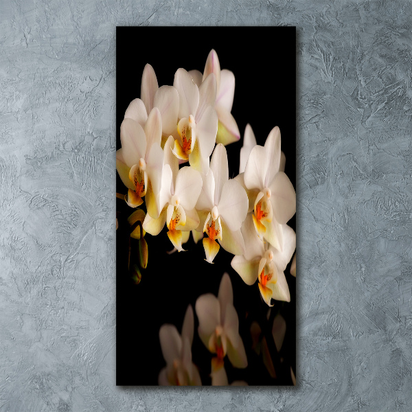 Bild auf Acrylglas vertikal Orchidee