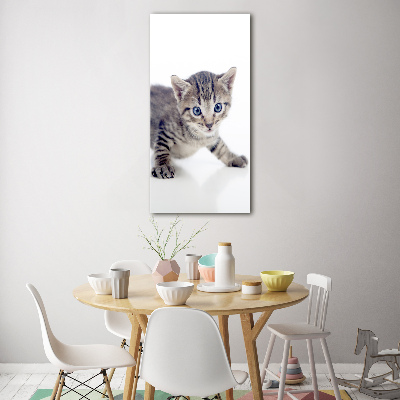 Bild auf Acrylglas vertikal Kleine Katze
