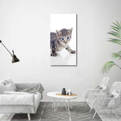 Bild auf Acrylglas vertikal Kleine Katze