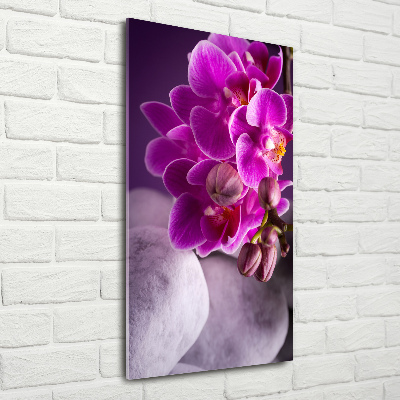 Plexiglasbilder vertikal Rosa Orchidee
