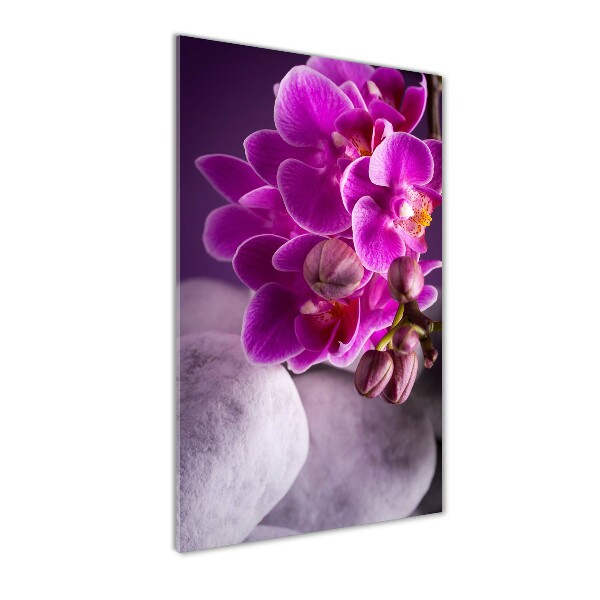 Plexiglasbilder vertikal Rosa Orchidee