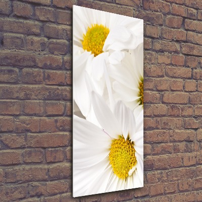 Acrylbild vertikal Gänseblümchen