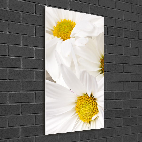 Acrylbild vertikal Gänseblümchen