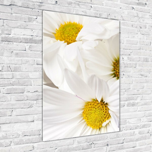 Acrylbild vertikal Gänseblümchen