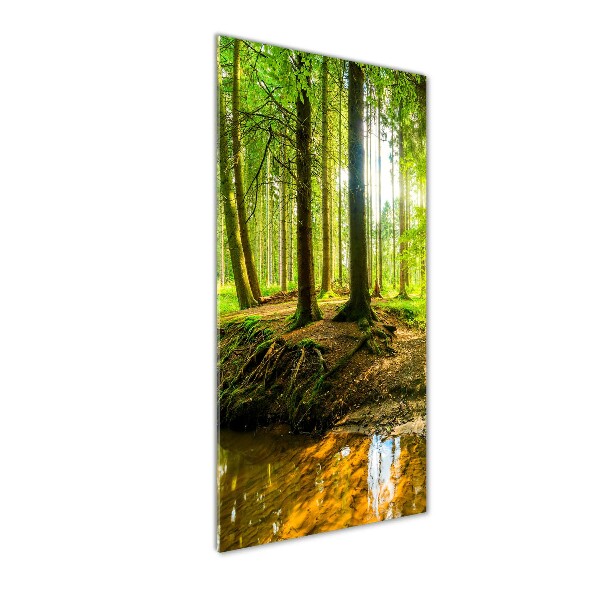 Bild auf Acrylglas vertikal Ein Bach im Wald