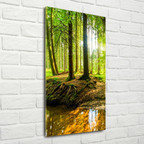 Bild auf Acrylglas vertikal Ein Bach im Wald