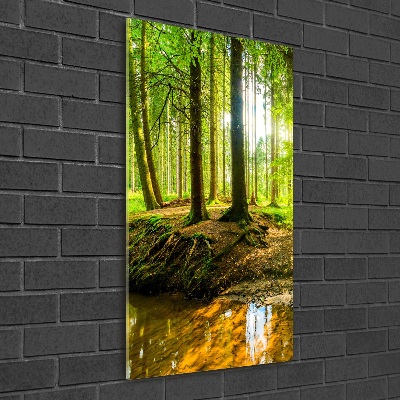 Bild auf Acrylglas vertikal Ein Bach im Wald