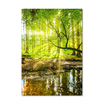 Bild auf Acrylglas vertikal Ein Bach im Wald