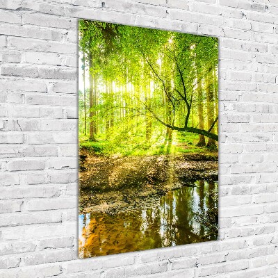 Bild auf Acrylglas vertikal Ein Bach im Wald