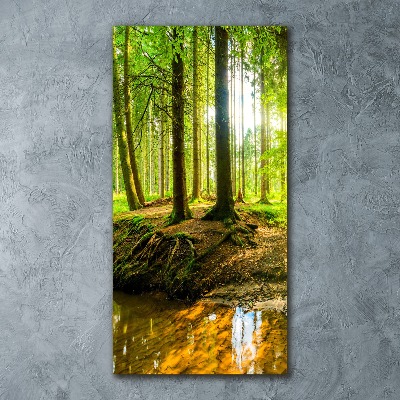 Bild auf Acrylglas vertikal Ein Bach im Wald