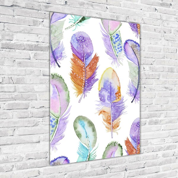 Plexiglasbilder vertikal Bunte Federn