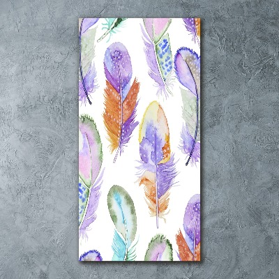 Plexiglasbilder vertikal Bunte Federn