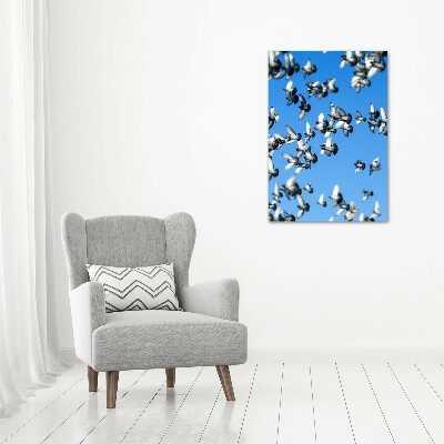 Acrylbild vertikal Tauben am Himmel