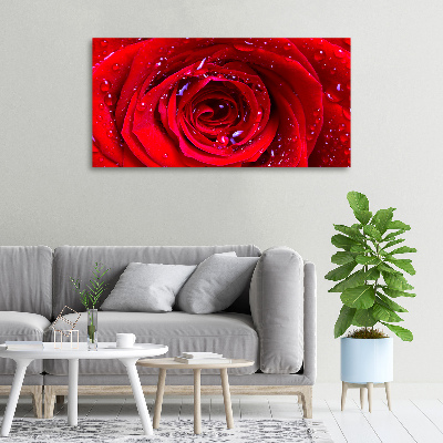 Wandbild Rosenblüte