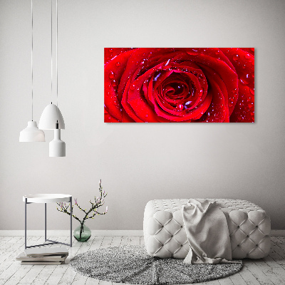 Wandbild Rosenblüte