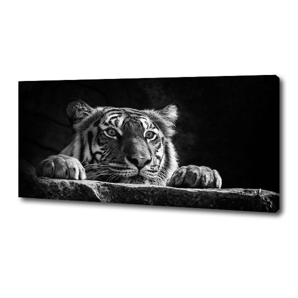 Wandbild Tiger