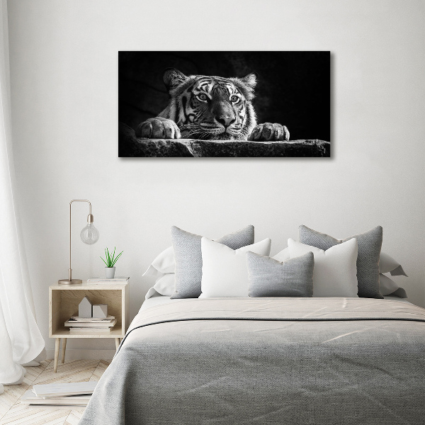Wandbild Tiger