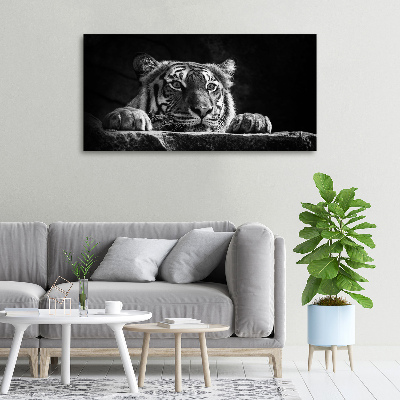Wandbild Tiger