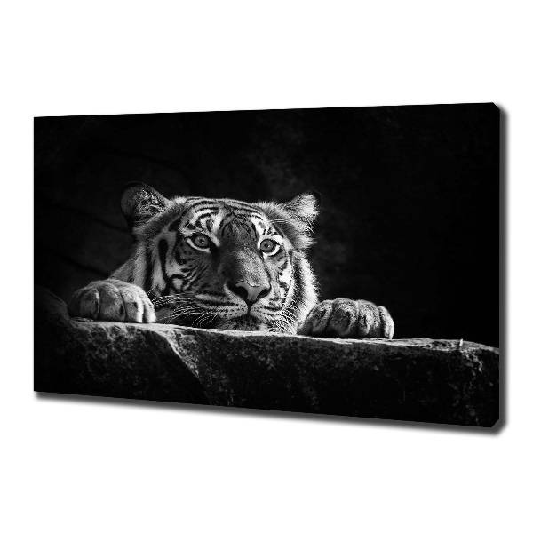 Wandbild Tiger