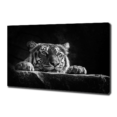 Wandbild Tiger