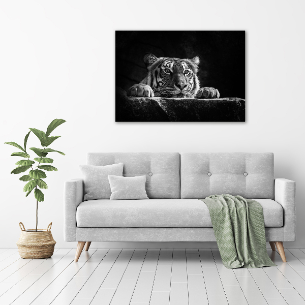 Wandbild Tiger