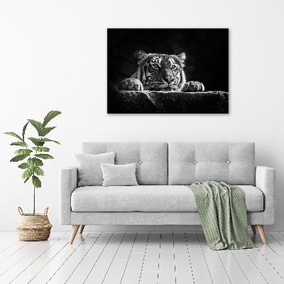 Wandbild Tiger