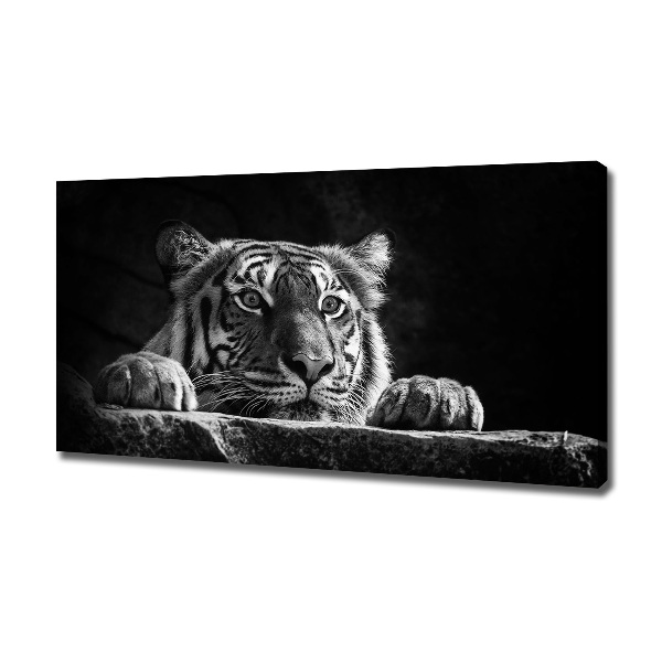 Wandbild Tiger