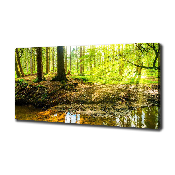 Wandbild Sonnenstrahlen im Wald