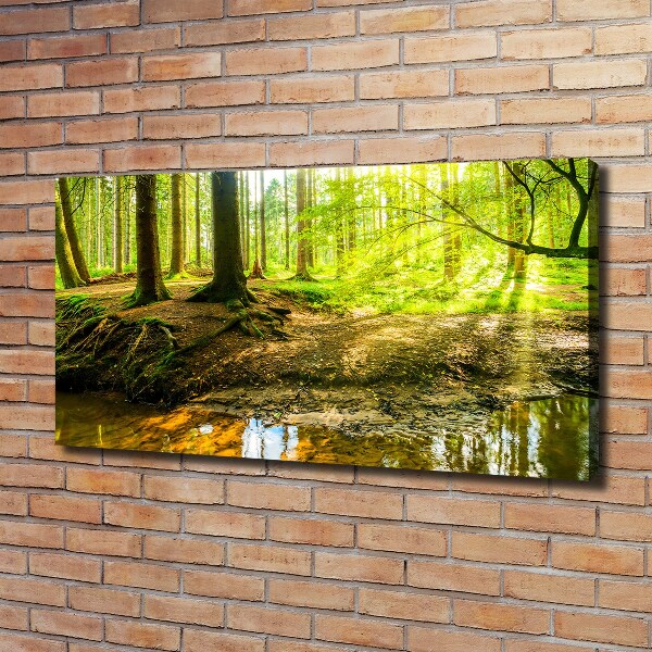Wandbild Sonnenstrahlen im Wald