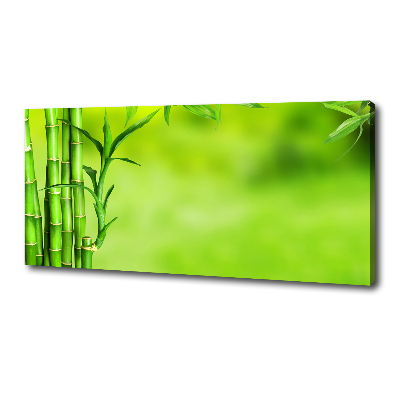 Fotobild Bambus