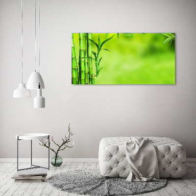 Fotobild Bambus