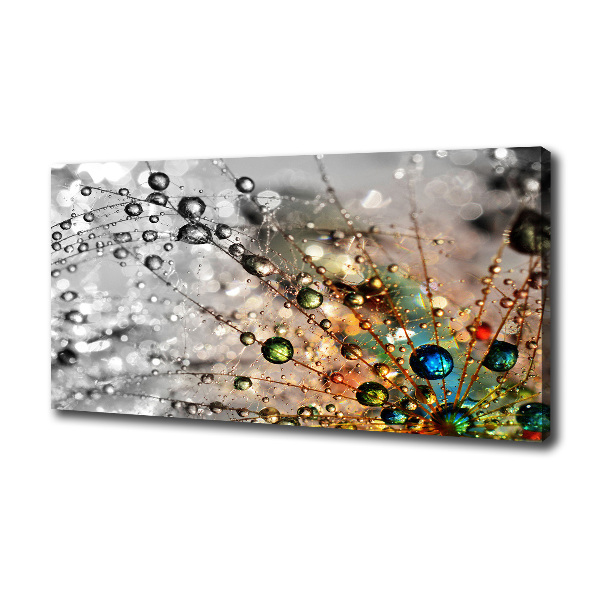 Wandbild Löwenzahnsamen