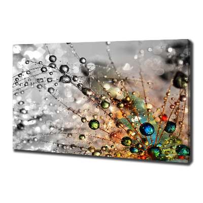 Wandbild Löwenzahnsamen